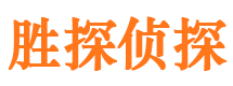 游仙寻人公司